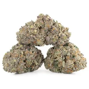 Buy Biscotti Strain Online