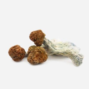 Buy Trinity Magic Mushrooms