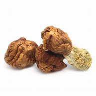 Buy Penis Envy Dino Eggs Magic Mushrooms