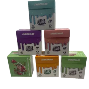 CHOICESLAB Dual Flavored Premium Vapes
