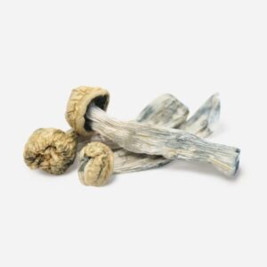 Buy Yeti Magic Mushrooms