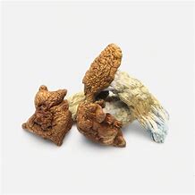 Buy King Kong Magic Mushrooms