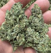 Lemon Cherry Gelato